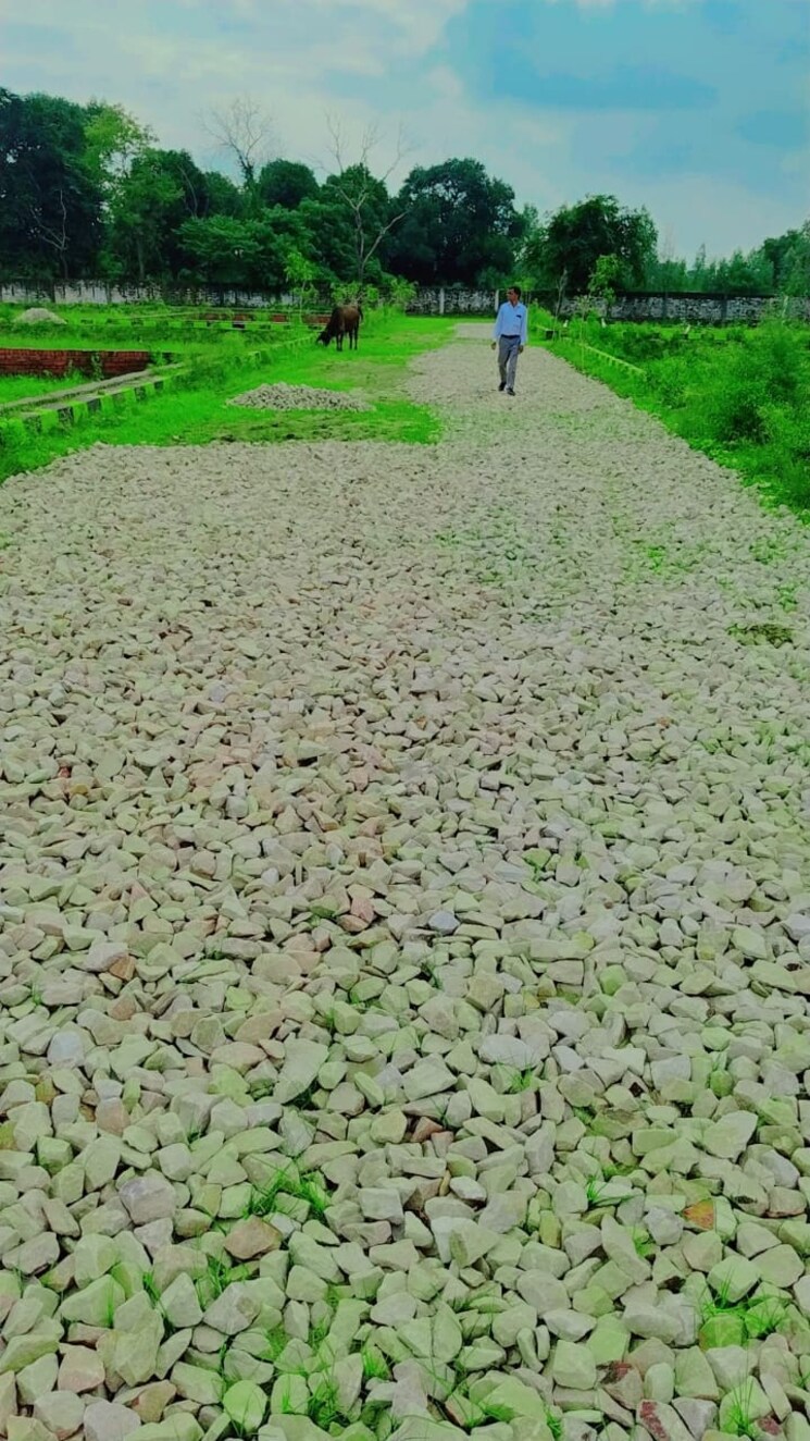 Garden, sultanpur road  955 Sq.Ft. Plot In Sultanpur Road Lucknow 8714670