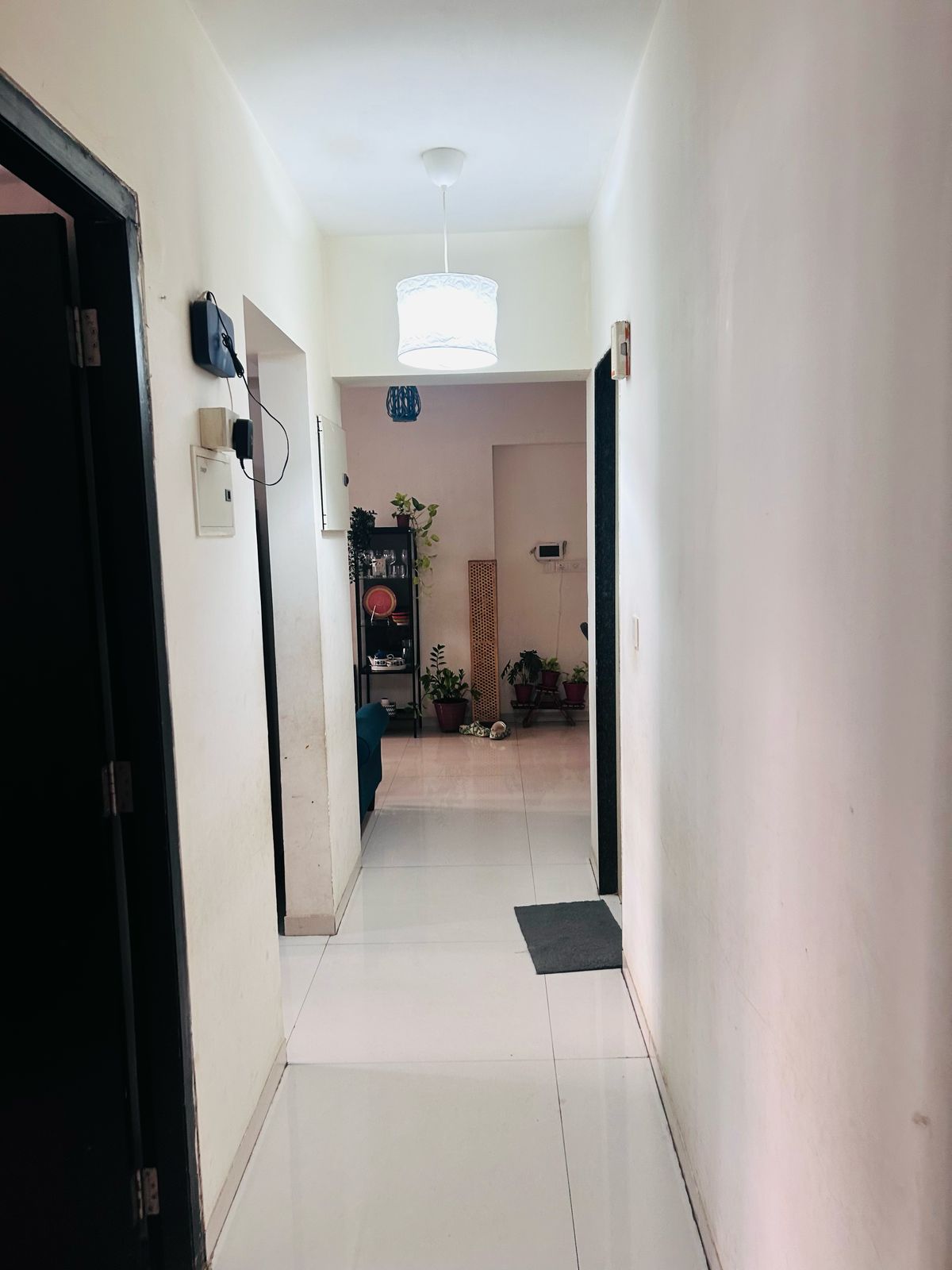 2 BHK + Extra Room Apartment For Rent in Rite Skyluxe