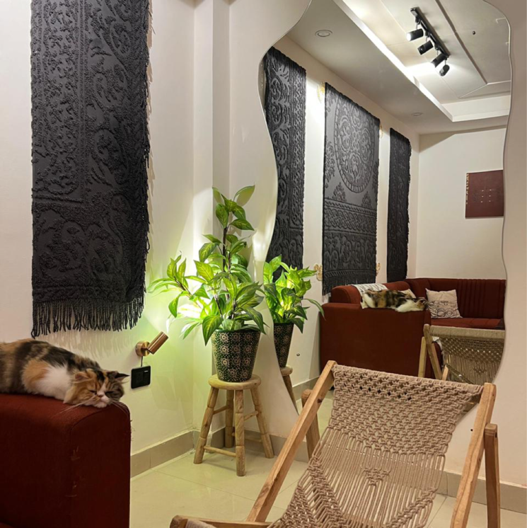 Living Room, saket-court-residential-complex 2 Bedroom 1000 Sq.Ft. Builder Floor In Pushp Vihar Delhi 8714795