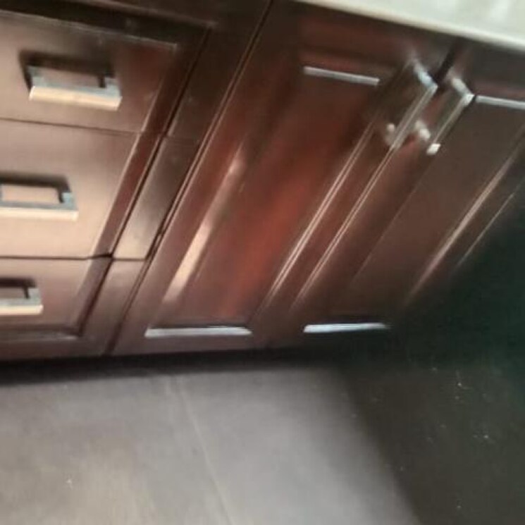 undefined, panchsheel enclave 3 Bedroom 2000 Sq.Ft. Builder Floor In Panchsheel Enclave Delhi 8714835