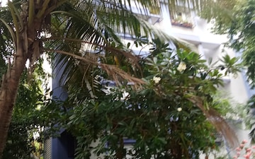3 BHK Apartment For Rent in Saldanha Enclave, Borivali West