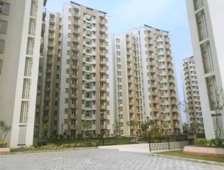 Exterior View, shree-vardhman-flora 2.5 Bedroom 1340 Sq.Ft. Builder Floor In Sector 90 Gurgaon 8714852
