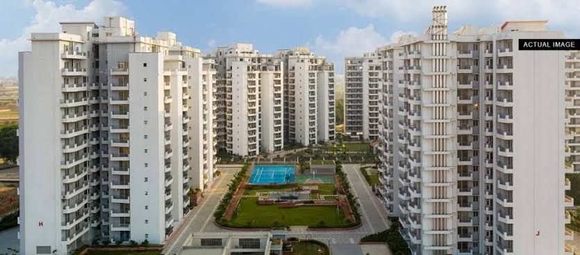 2.5 BHK + Study Room Builder Floor For Rent in Shree Vardhman Flora