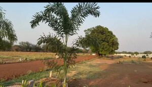 Plot – Garden View at Kumhari - for Sale