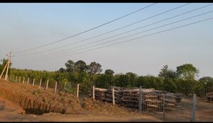 Plot Area in  Plot at Kumhari – for Sale