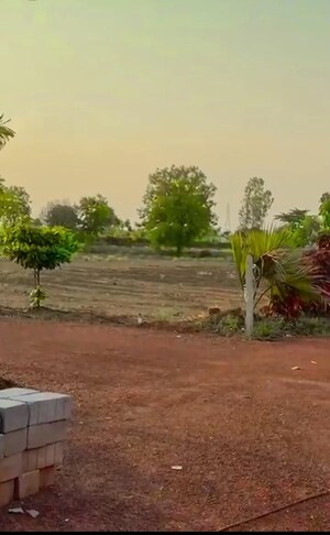  Plot For Sale in Kumhari