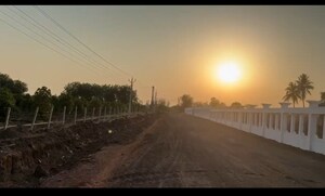 Plot Area in  Plot at Kumhari – for Sale