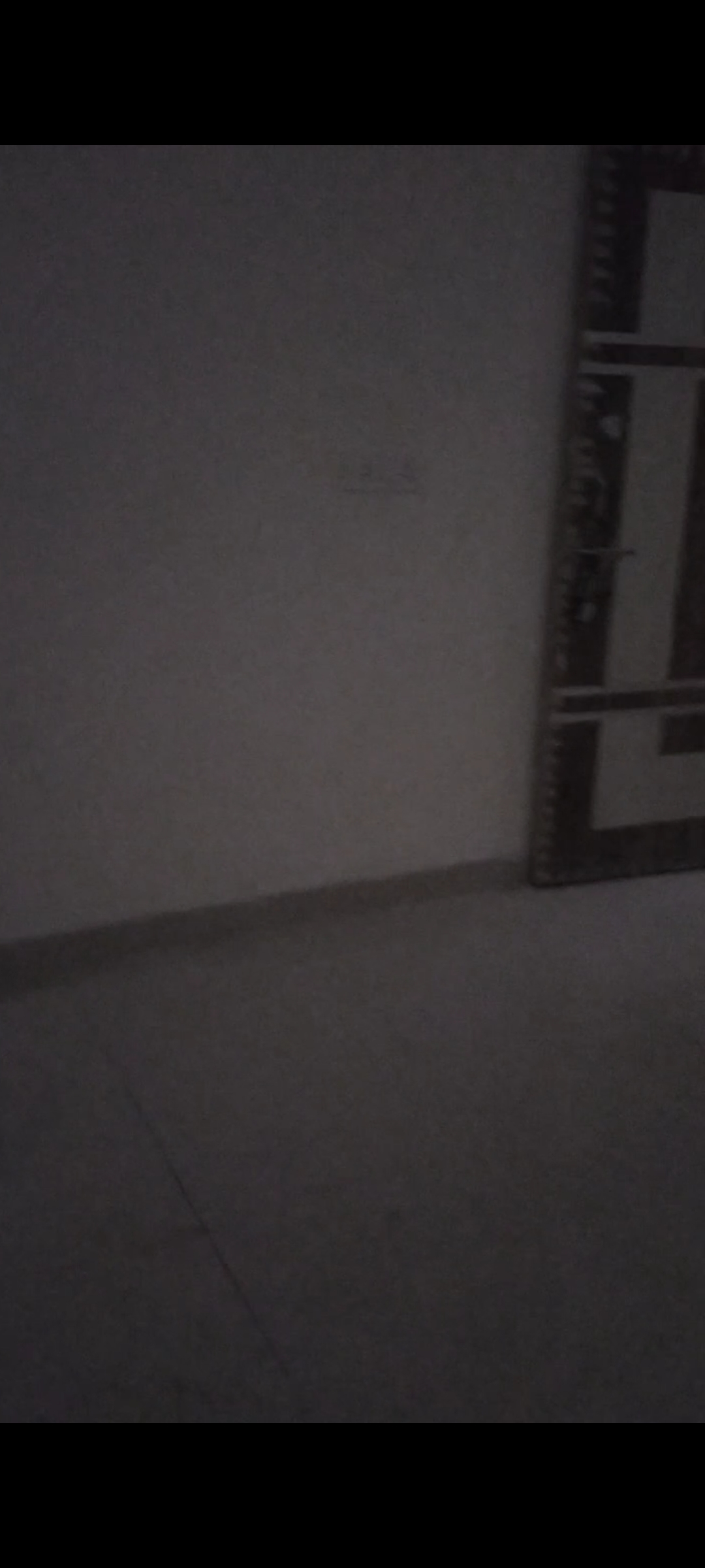 1 BHK Builder Floor For Sale in New Ashok Nagar