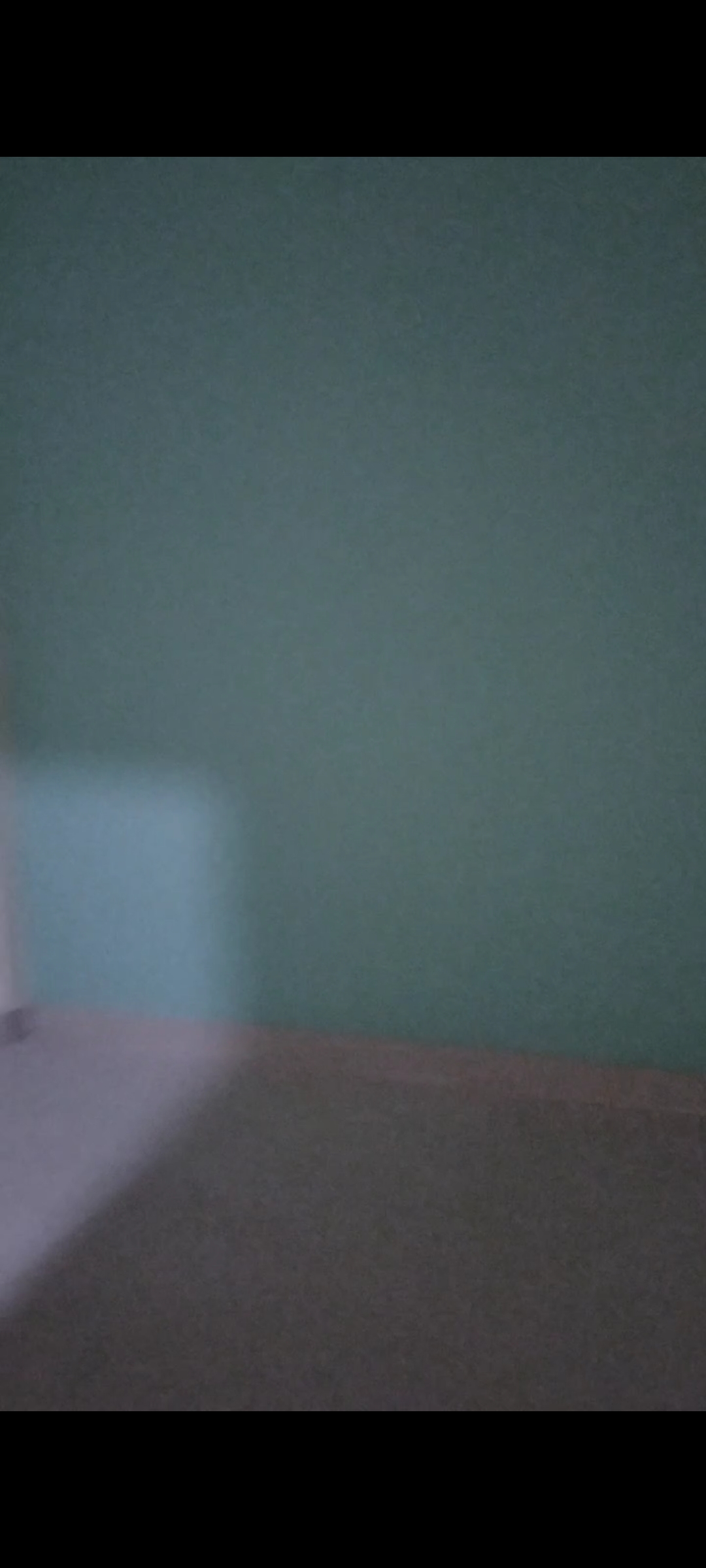 2 BHK Builder Floor For Sale in New Ashok Nagar