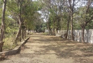 Plot Area in  Plot at Dumas – for Sale