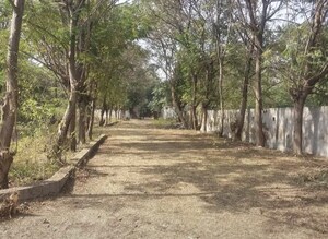  Plot For Sale in Dumas