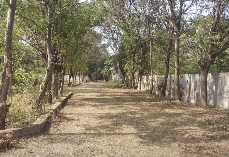 Plot For Sale in Dumas Plot