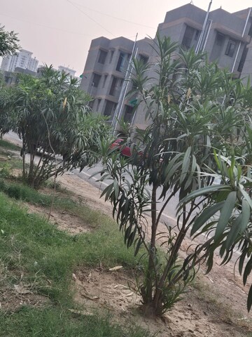 1.5 BHK Apartment – Exterior View View at Sector 10 Greater Noida - for Sale