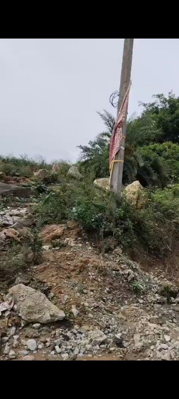  Land – Nearby View at Bannerghatta - for Sale