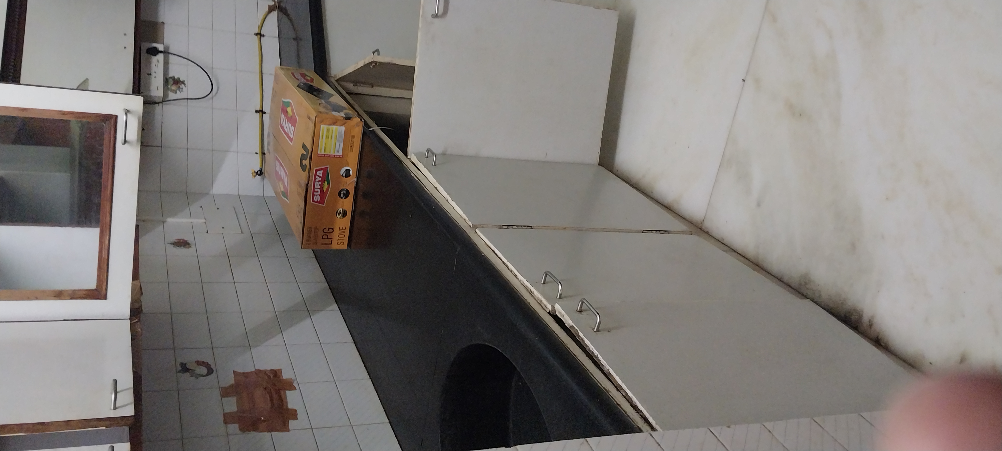 2 BHK + Pooja Room Apartment For Rent in Basavanagudi