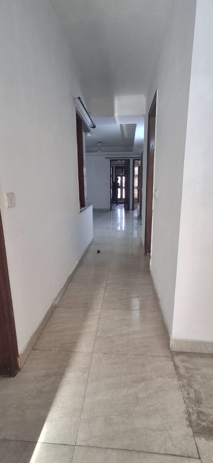 undefined, saket 2 Bedroom 850 Sq.Ft. Builder Floor In Saket Delhi 8715272