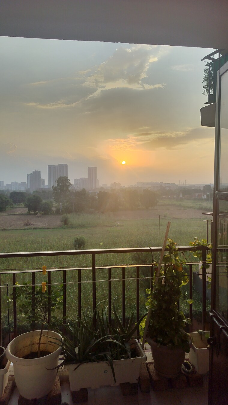 Exterior View, signature-global-synera 2 Bedroom 568 Sq.Ft. Apartment In Sector 81 Gurgaon 8715295