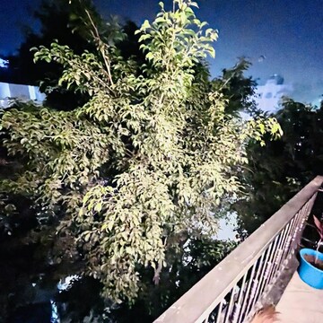 3 BHK Builder Floor – Garden View at Jangpura - for Rent