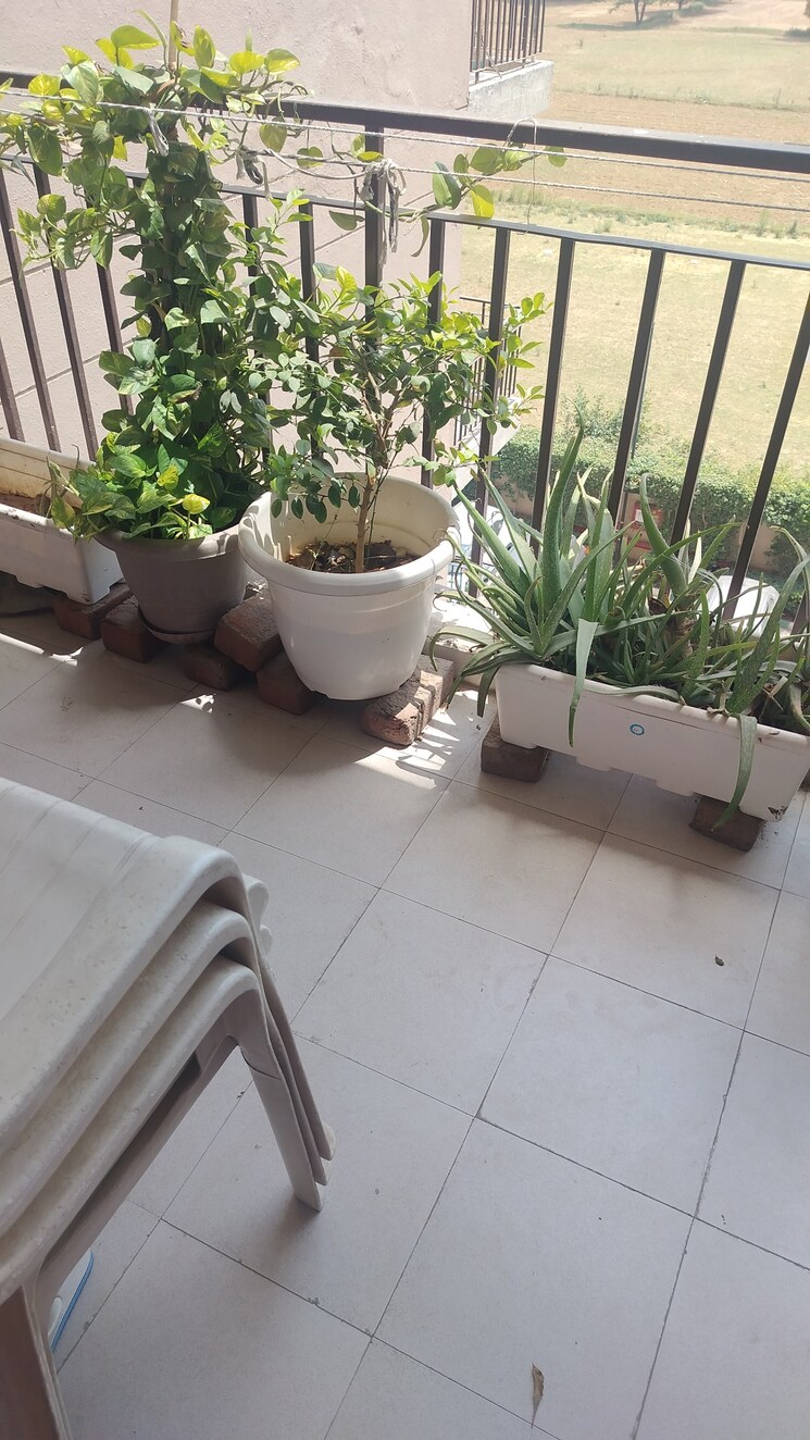 Balcony, signature-global-synera 1 Bedroom 417 Sq.Ft. Apartment In Sector 81 Gurgaon 8715392