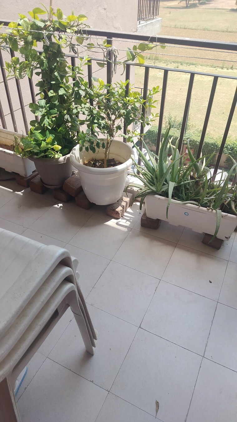 Balcony, signature-global-synera 1 Bedroom 417 Sq.Ft. Apartment In Sector 81 Gurgaon 8715392