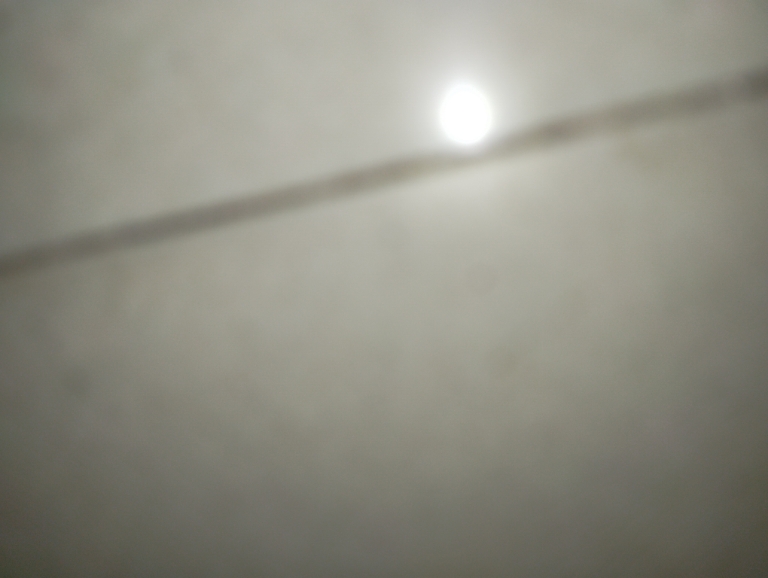 3 BHK + Pooja Room Apartment For Rent in Manjeera Casa