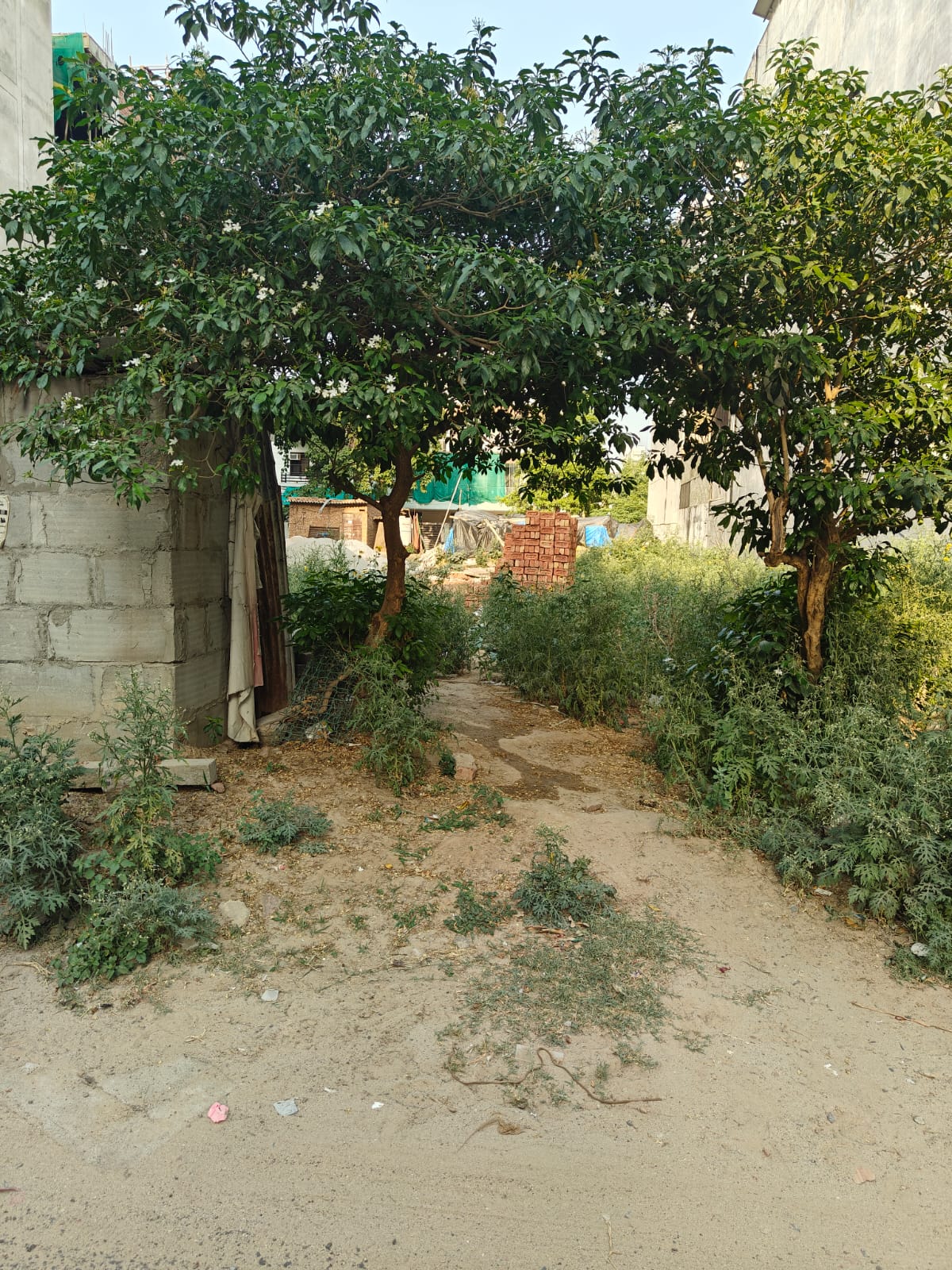 Plot For Sale in Sector 38