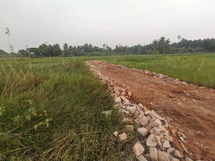 undefined, joka  3600 Sq.Ft. Plot In Joka Kolkata 8715434