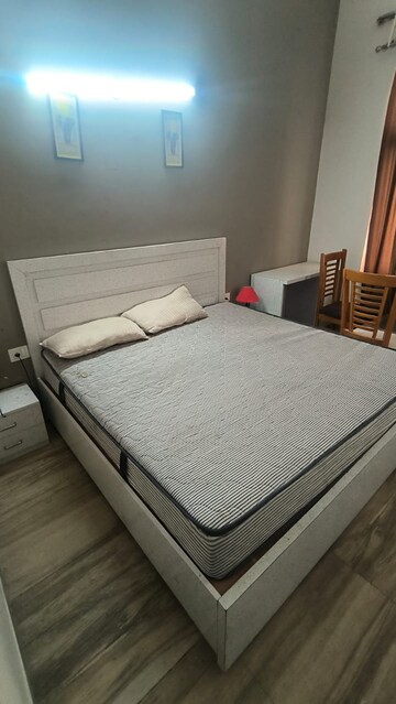 1 BHK Apartment For Rent in Paramount Golfforeste Villas, Zeta I Greater Noida