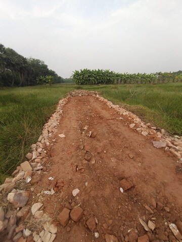 Plot Area in  Plot at Joka – for Sale
