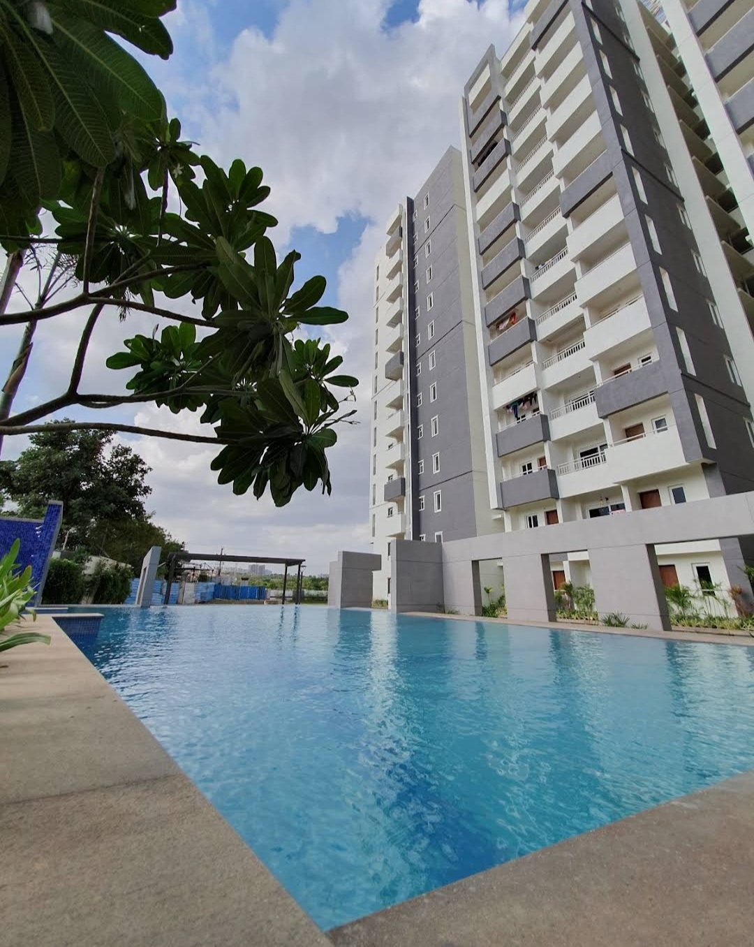 2 BHK Apartment For Rent in Vertex Panache