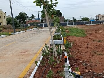  Plot – Exterior View View at Trichy Madurai Road - for Sale