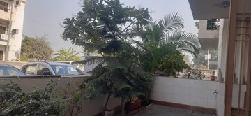 3 BHK Apartment For Sale in Sector 83