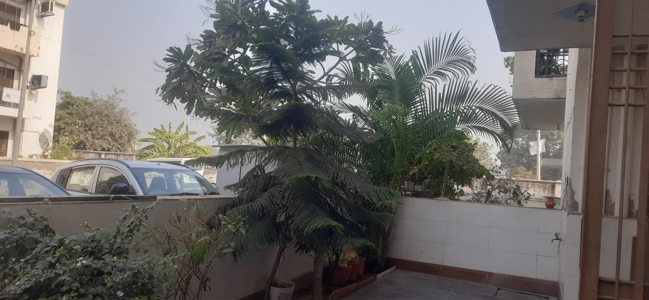 3 BHK Apartment For Sale in M Block Sector 83 Elite F