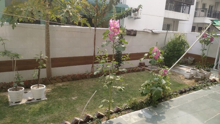 Balcony, sector 83 3 Bedroom 250 Sq.Yd. Apartment In Sector 83 Faridabad 8715495