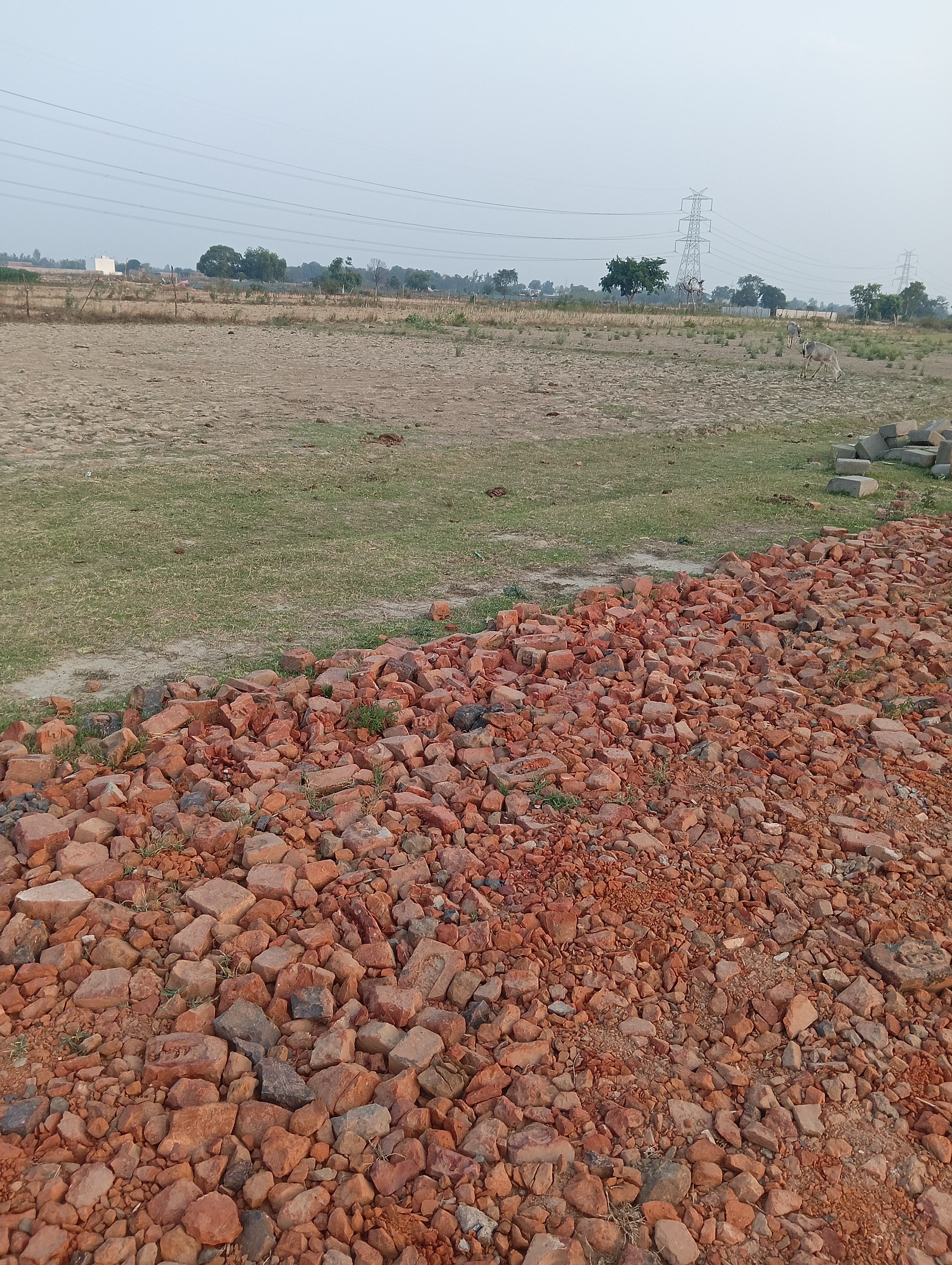 Plot For Sale in Kishanpath Jugguar Anandi