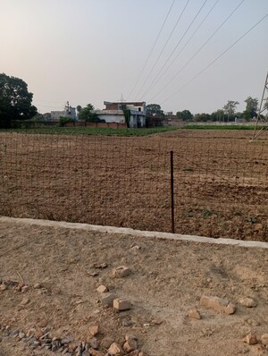 Plot Area in  Plot at Chinhat – for Sale