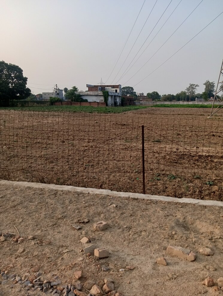 undefined, chinhat  1000 Sq.Ft. Plot In Chinhat Lucknow 8715682