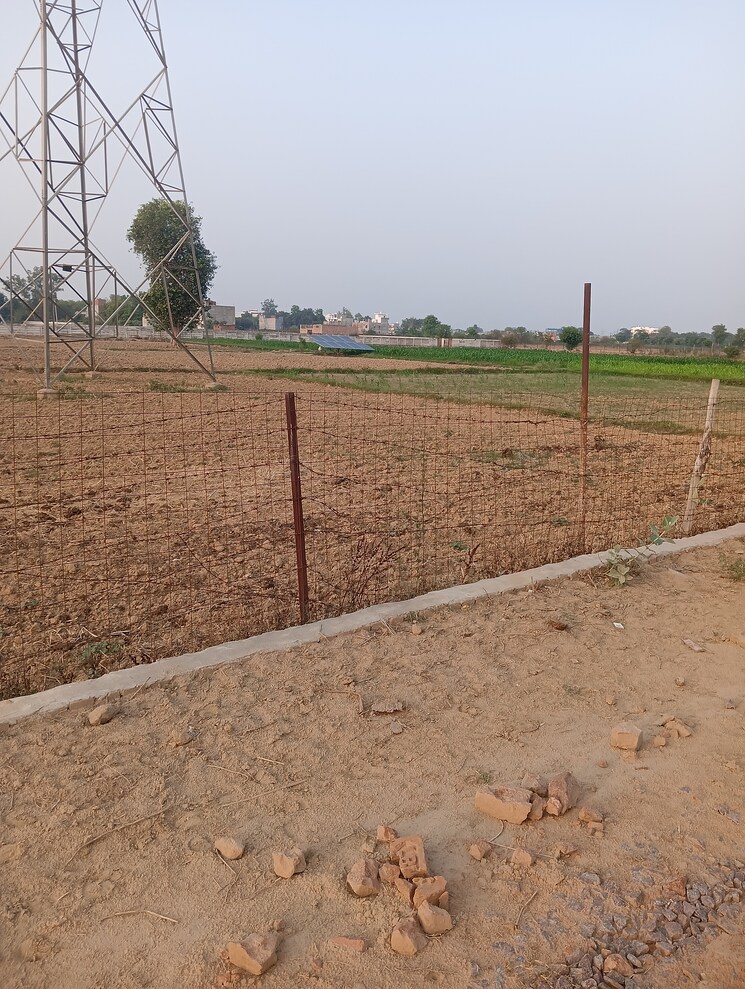 undefined, chinhat  1000 Sq.Ft. Plot In Chinhat Lucknow 8715682