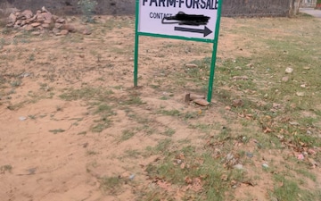 Plot For Sale in Naugaon