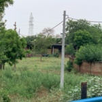 7000 Sq.Ft. Plot in Ansal Housing Tanushree