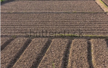 Plot For Sale in Gurgaon Village