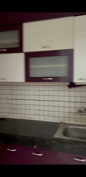 3 BHK Apartment For Sale in Amrapali Golf Homes, Sector 4 Greater Noida