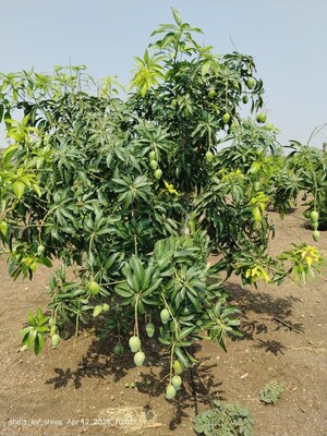  Land – Exterior View View at Talakondapalle - for Sale