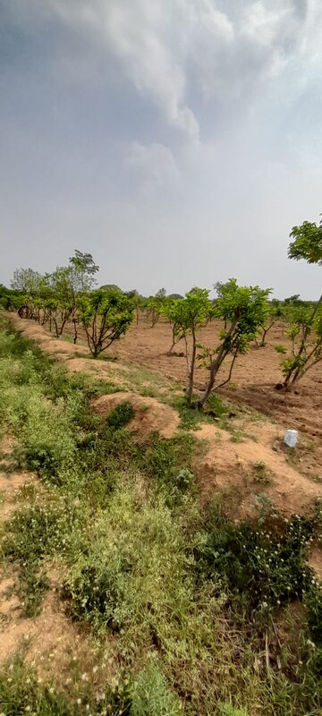  Land – Exterior View View at Talakondapalle - for Sale
