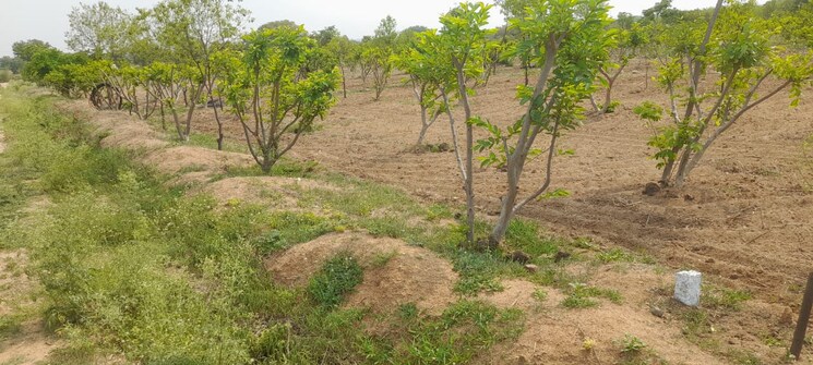 Exterior View, talakondapalle Commercial Land 20 Acre In Talakondapalle Hyderabad 8716802