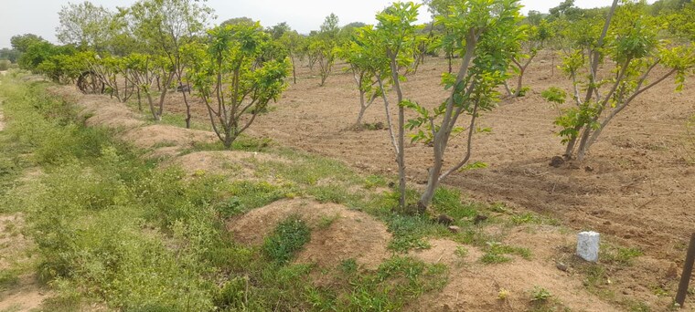 Exterior View, talakondapalle Commercial Land 20 Acre In Talakondapalle Hyderabad 8716802