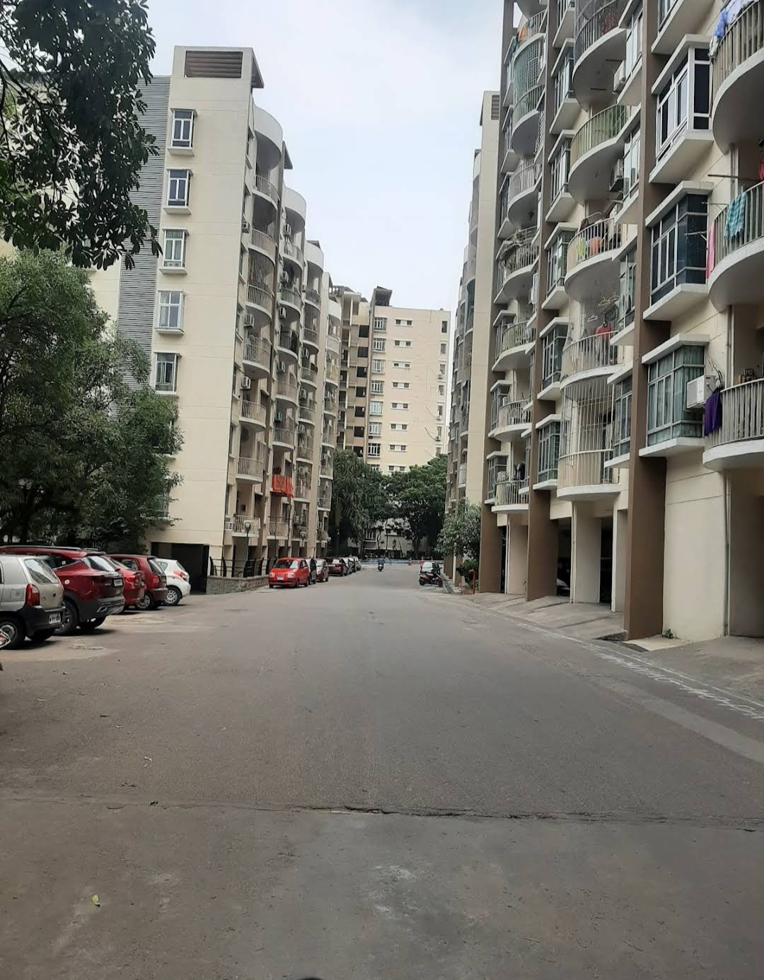 3 BHK Apartment For Rent in IJM Raintree Park Phase I