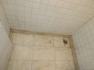 Bathroom in 2 BHK Apartment at Jasola – for Sale