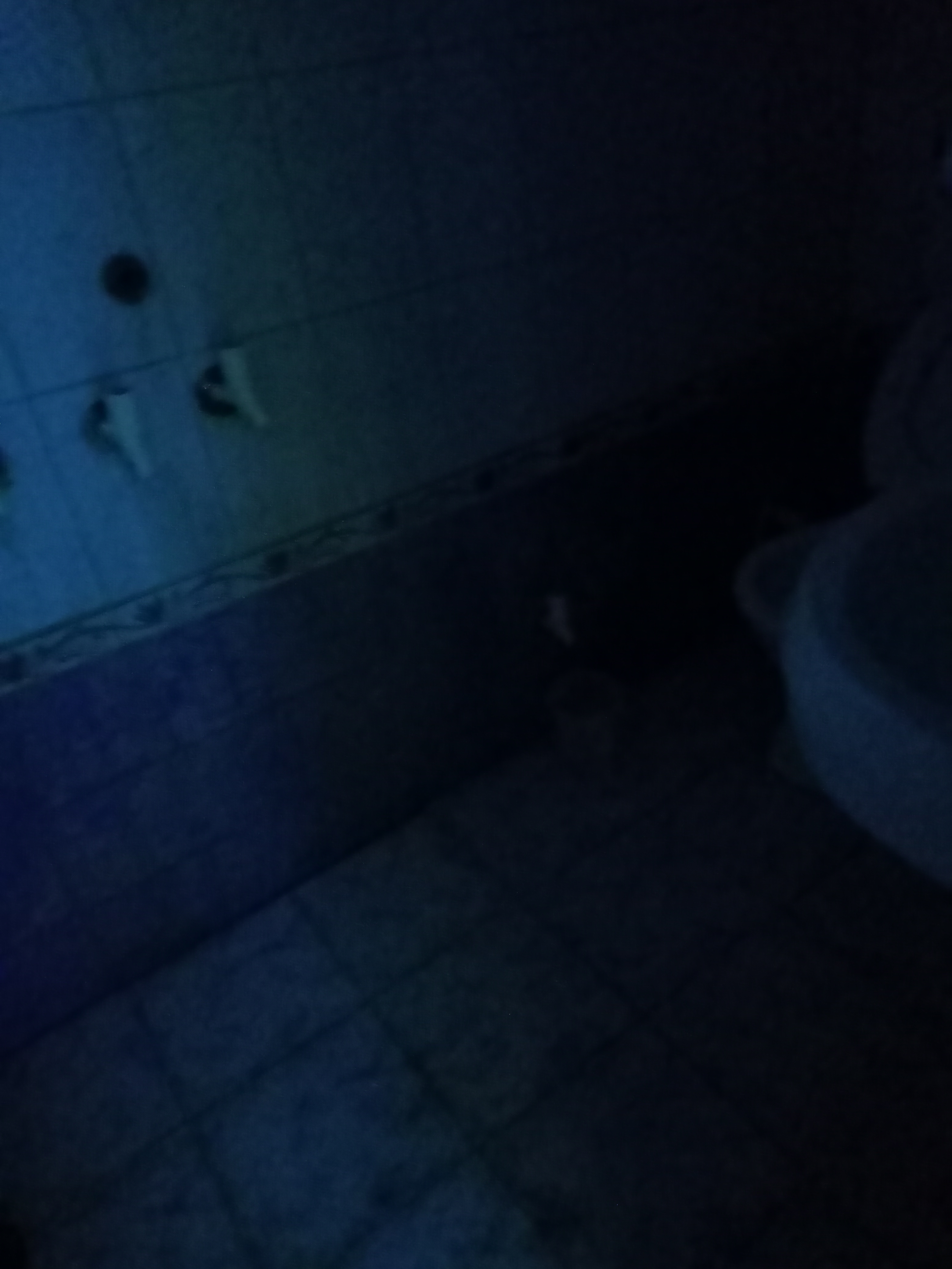 2 BHK + Study Room Independent House For Rent in Kapoorthala