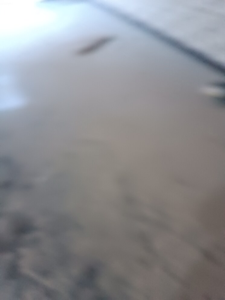 undefined, prime-city-greater-noida 3 Bedroom 2400 Sq.Ft. Independent House In Sector 3 Greater Noida Greater Noida 8717026